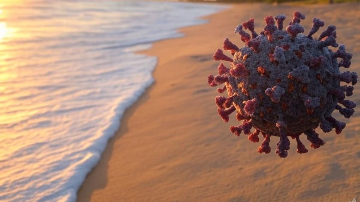 Diarrea viral en Brasil: cuáles son los síntomas, cómo evitar contagios y cuándo buscar atención médica