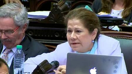 Graciela Camaño - Reforma previsional