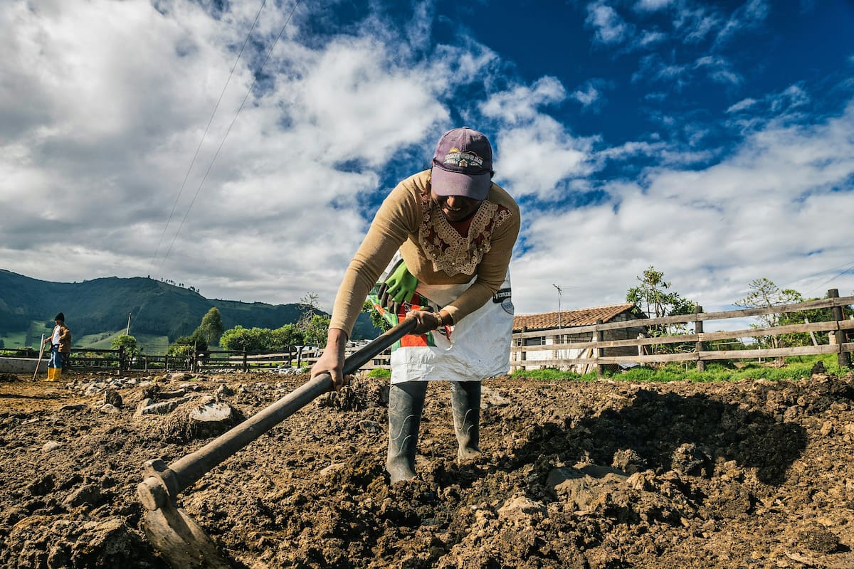 Trabajo en el campo