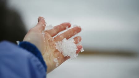 Manos, invierno, nieve. Foto: Unsplash