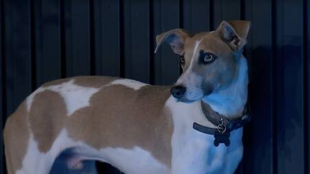 Arturo de Gran Hermano. Foto: Captura.