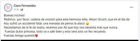 Posteo en las redes sociales por la nena agredida por jauría en Bolívar. Foto: Facebook.
