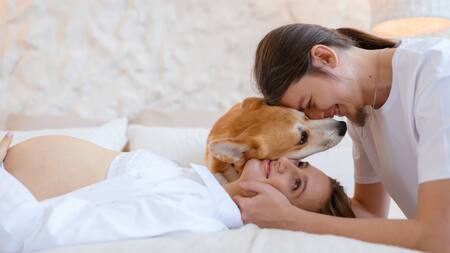 Los perros pueden detectar embarazos tempranos. Foto: Freepik.