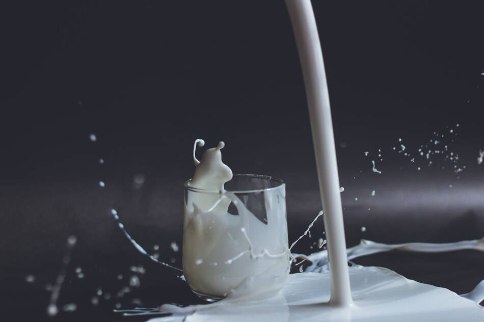 Leche. Foto: Unsplash.