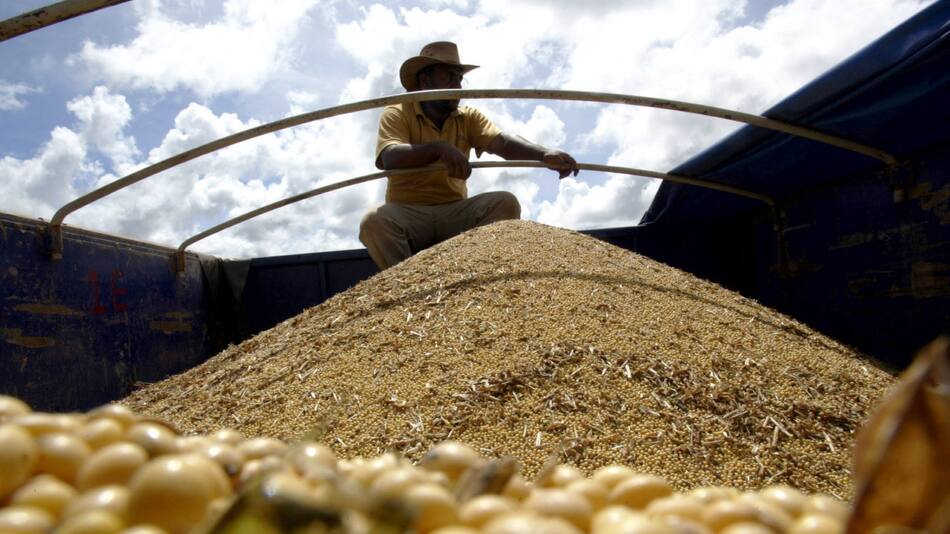 Soja. Foto: REUTERS.
