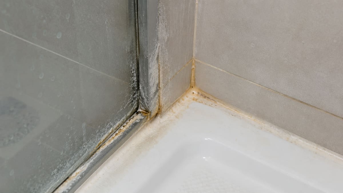 Cómo limpiar tu ducha y que quede como nueva