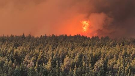 Incendios forestales en El Bolsón, Río Negro. Foto: EFE.