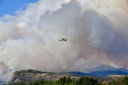 Incendio en el Parque Nacional Los Alerces. Foto: Télam.