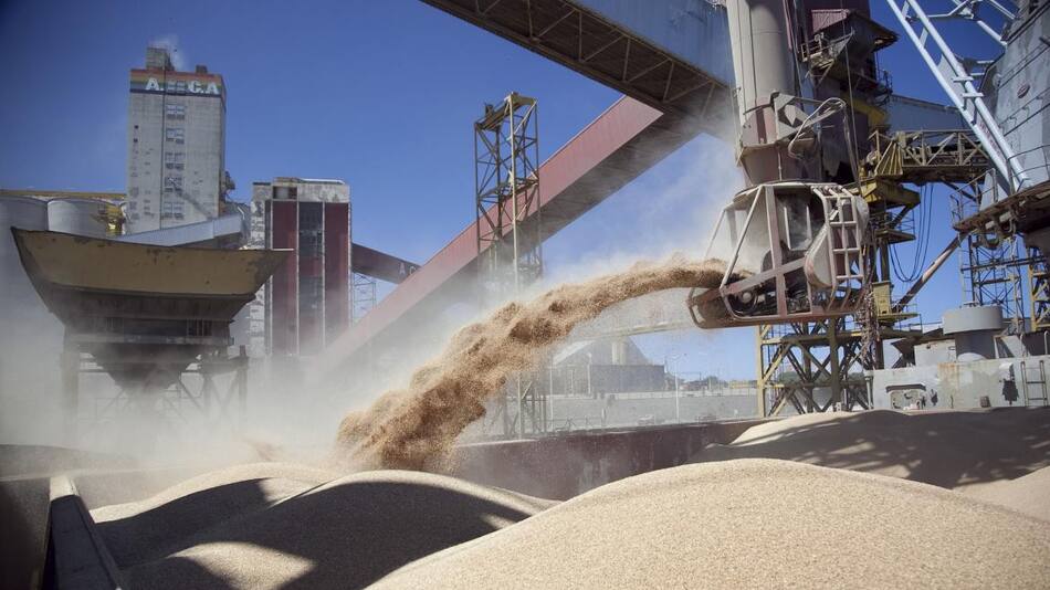 Exportación de harina de soja