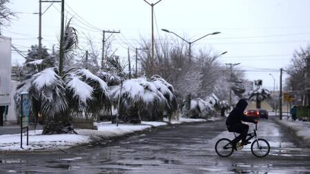 Ola polar en México. Foto: EFE
