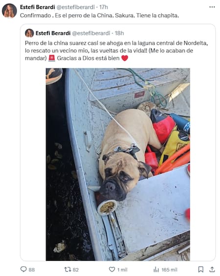 El perro perdido de la China Suárez. Foto: Instagram.