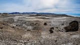 Considerado un santuario natural de Chubut: el paisaje deslumbra en la costa patagónica e invita a disfrutar de la naturaleza