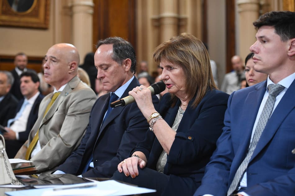 Patricia Bullrich en la Comisión de Trabajo y Previsión Social