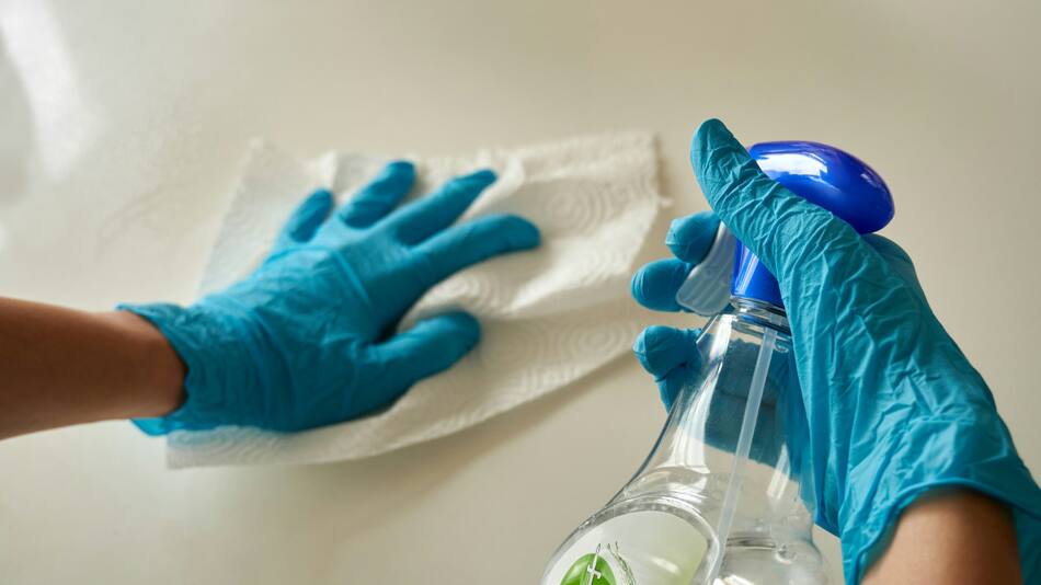 Limpieza, cocina, bacterias. Foto: Unsplash
