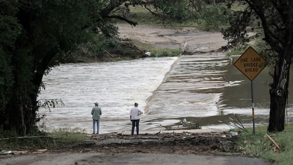 Nueva York proyecta plantar más árboles y mejorar el sistema de alcantarillas para combatir futuras inundaciones