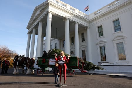 Un abeto que resistió al huracán Helene será el árbol de Navidad de la Casa Blanca. Foto: Reuters.