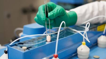 Pastilla de Pfizer contra el coronavirus. Reuters.