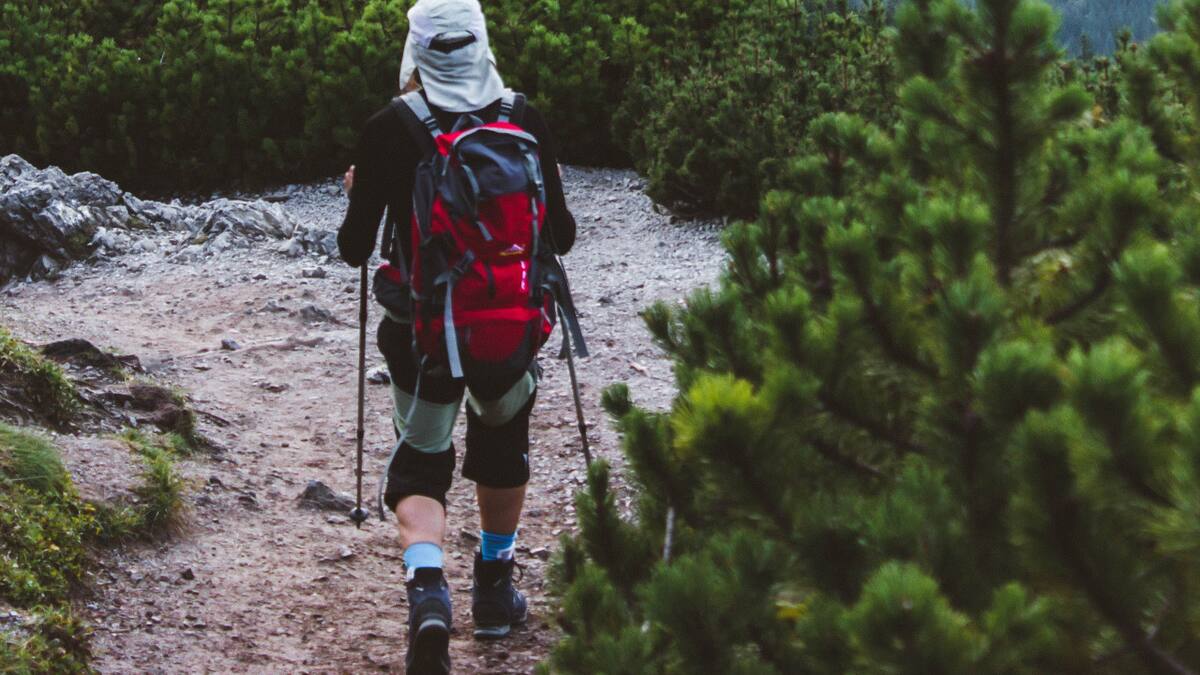 Las tres mejores rutas patagónicas para llegar a Chile. Foto: Unsplash