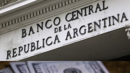 BCRA; Banco Central; dólares. Foto: NA.