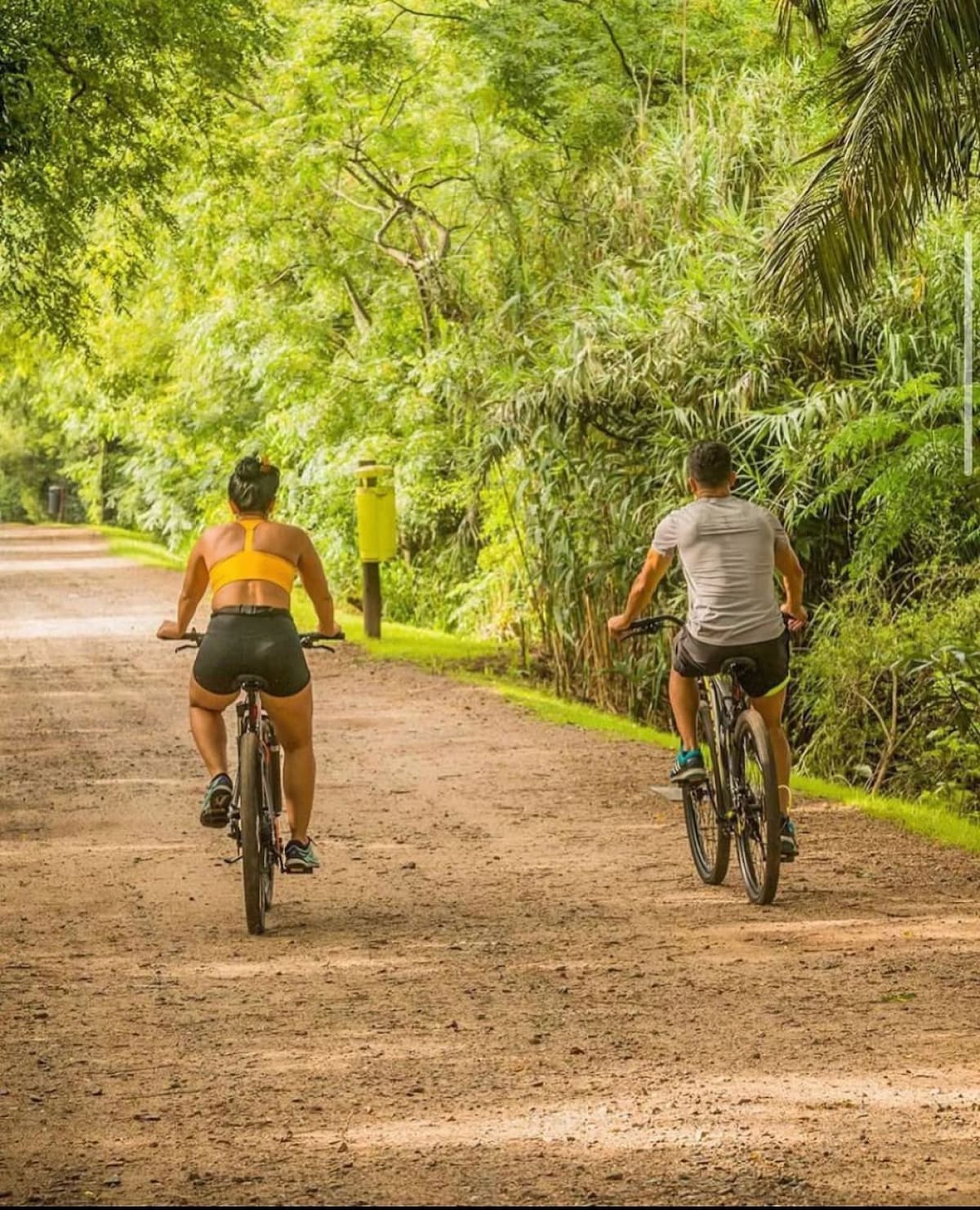 Reserva Ecológica Costanera Sur. Foto Instagram @reservaecologicasur