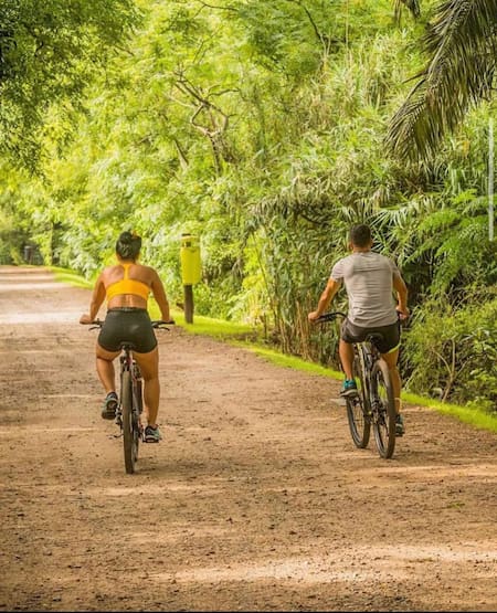 Reserva Ecológica Costanera Sur. Foto Instagram @reservaecologicasur