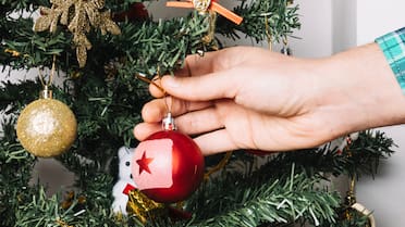 Mitos y costumbres de la Navidad: por qué el arbolito se debe cambiar cada 7 años