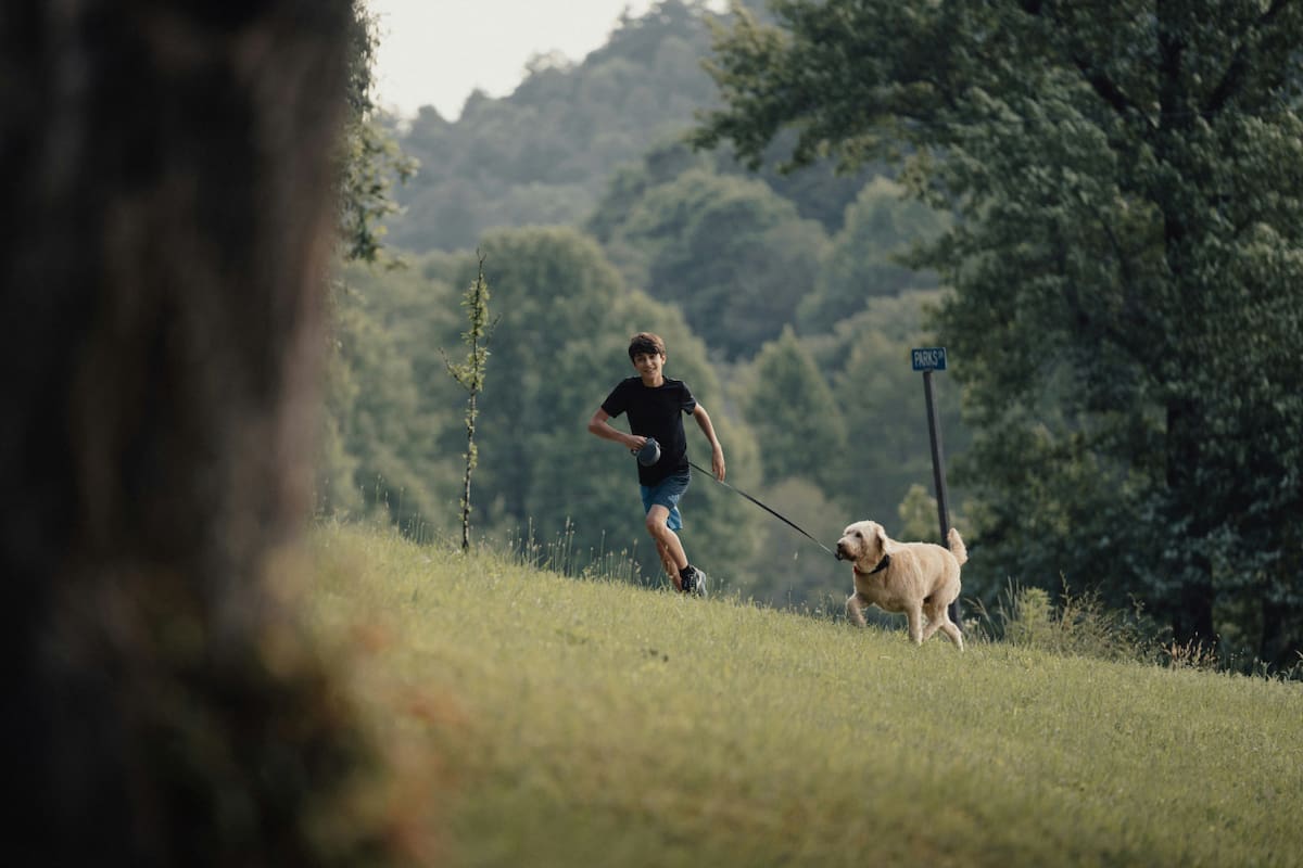 Perro, correr, ejercicio. Fuente: Pexels