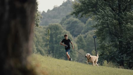 Perro, correr, ejercicio. Fuente: Pexels