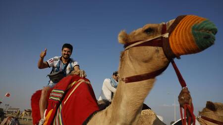 Qatar 2022; virus del camello. Foto: Reuters.