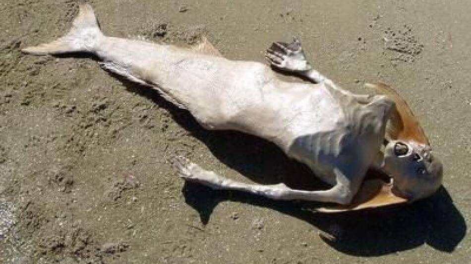 Sirena de la playa de Caranza