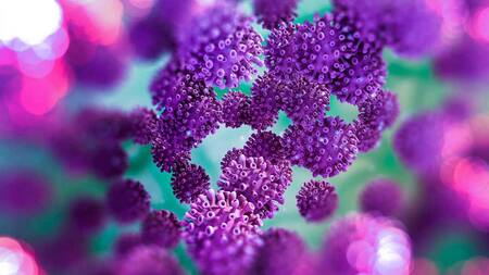 Coronavirus, mundo, pandemia