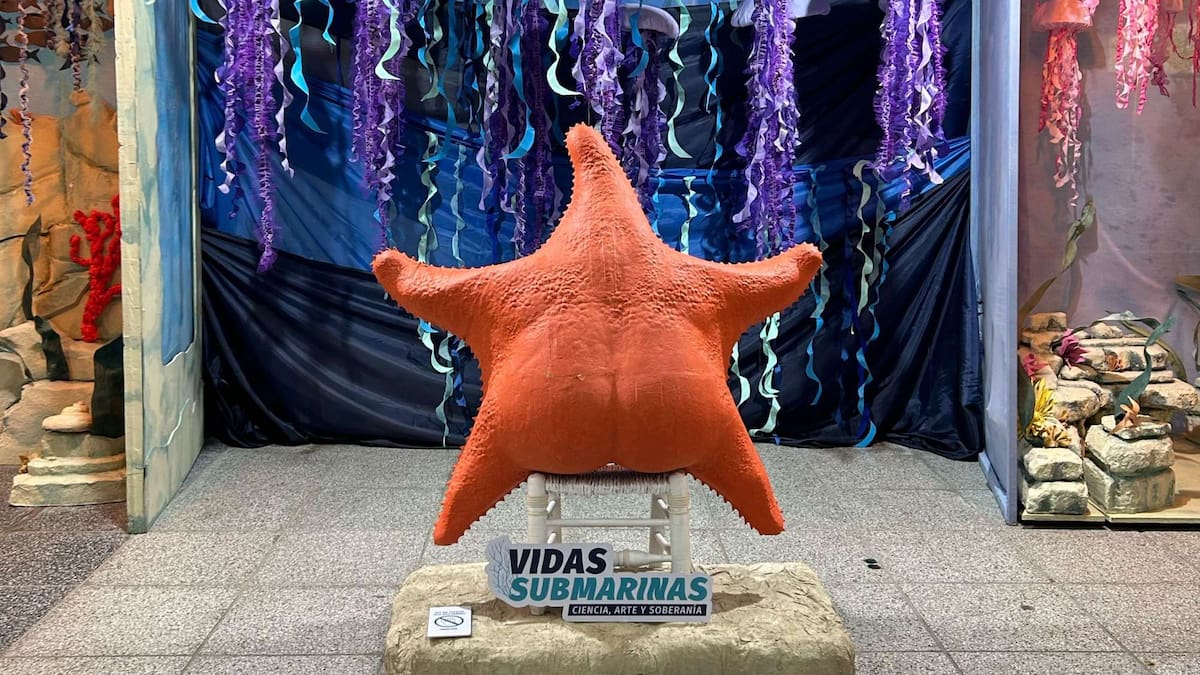 Se puede acceder a la propuesta de manera gratuita.