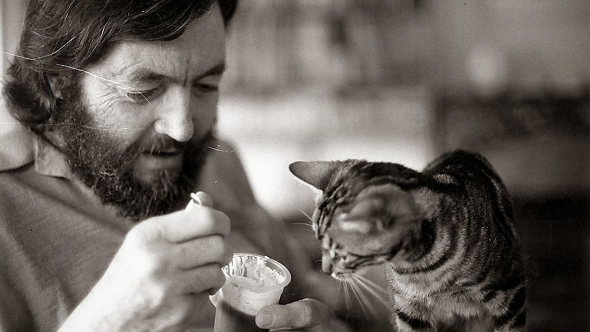 Julio Cortázar; escritor; gatos.