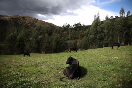 El Niño llega a Perú. Foto: EFE