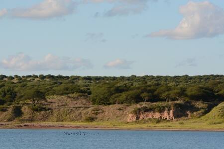 Laguna de Utracán. Foto: Municipalidad de General Acha.