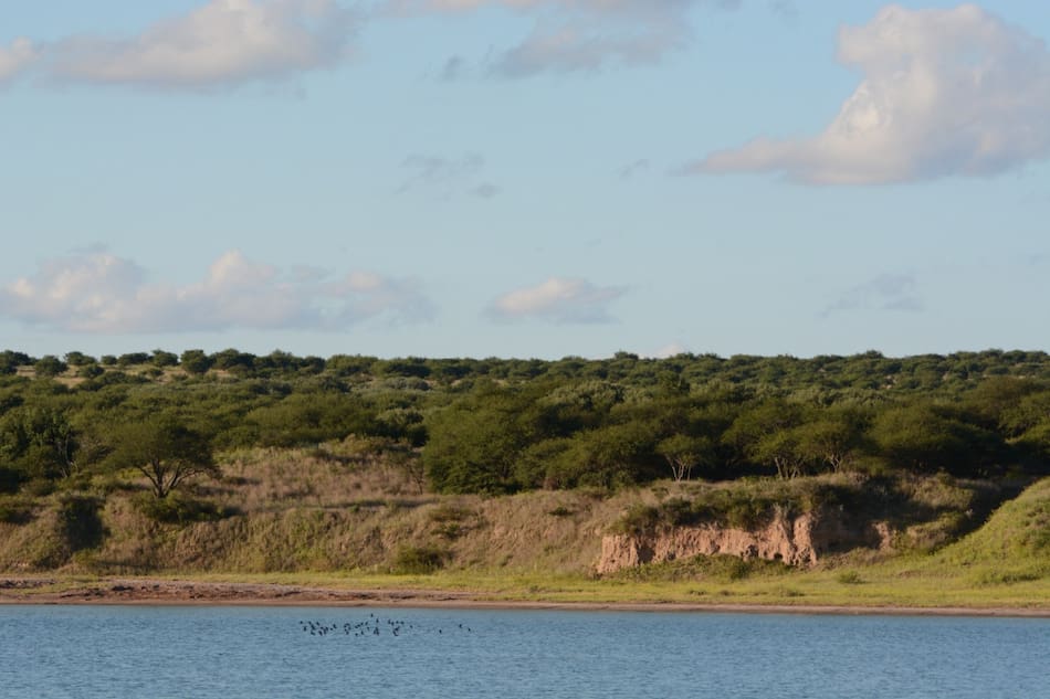 Laguna de Utracán. Foto: Municipalidad de General Acha.