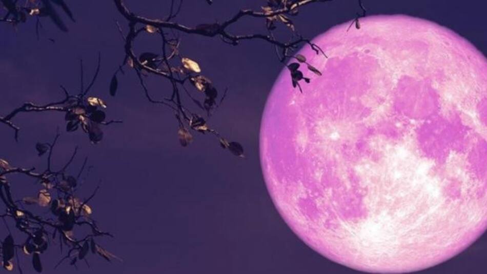 Superluna de Fresa. Foto: NA.