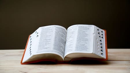 La RAE despejó las dudas: la palabra que todos separan y que debería escribirse junta