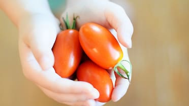 Nunca lo hagas: por qué los tomates se ponen rugosos cuando están en la heladera