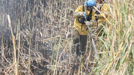 Incendios en Corrientes: 14 focos afectan a gran parte de los esteros