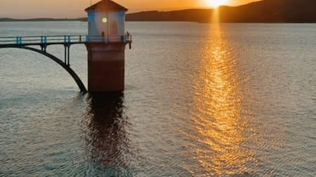 Córdoba: descubren una especie de peces exótica que extermina mosquitos. Foto: Instagram @everythingisdato