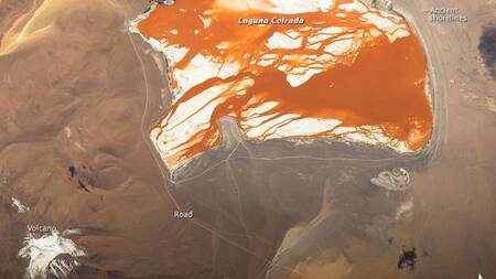 Las aguas de color marrón rojizo en el delta del río Betsiboka, en Madagascar. Foto: NASA
