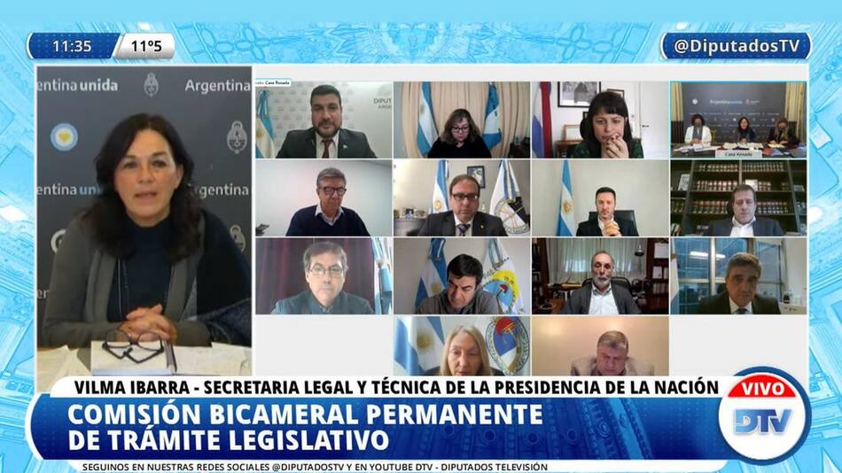 Comisión Bicameral, Vilma Ibarra