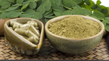 Las hojas de moringa oleifera se utilizan frescas o molidas en polvo. Foto: Pinterest.