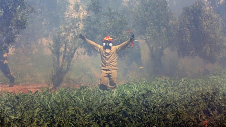 Incendios forestales en Grecia. Foto: EFE.