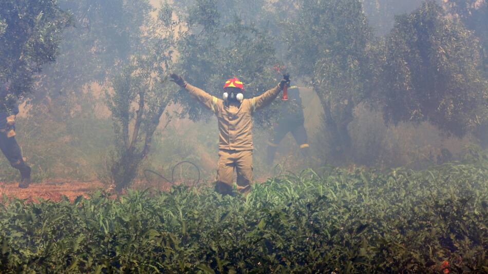 Incendios forestales en Grecia. Foto: EFE.