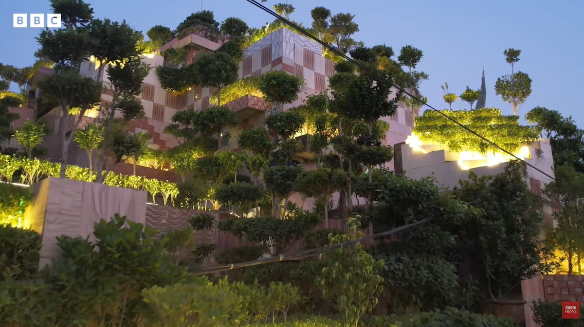 Pulmón verde; Pakistán; casa; hogar; plantas.
