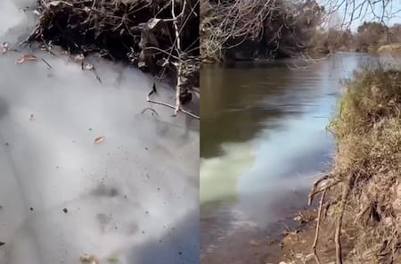 Denuncian ecocidio en Córdoba. Foto: capturas de video
