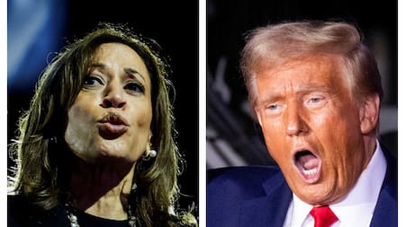 Donald Trump le sacó una importante diferencia a Kamala Harris en los estados pendulares, lo que lo catapultó a la presidencia. Foto: Reuters.