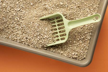 Piedritas, arenero, gatos. Foto: Freepik.